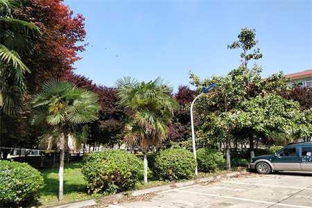 华润家园，科信学校，98平精装带产权车位69.8万